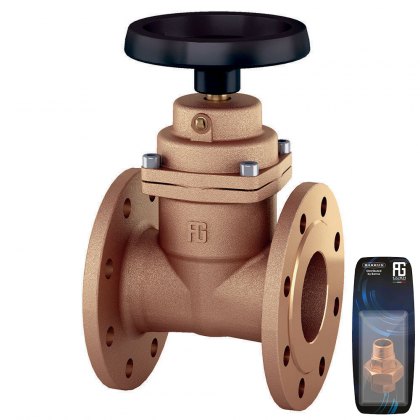 Globe Valve