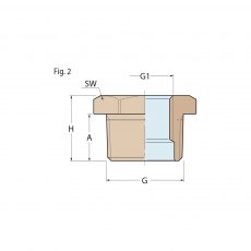 Guidi Bronze Bushing M-F 2 in 1/2 x 2 in