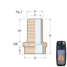 Guidi Brass Hose Connector M 1 in 1/2 x 25 mm