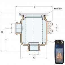 Guidi Nickel Brass Water filter Glastainless Steel Lid 3/8In