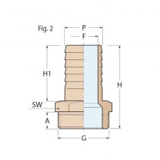 Guidi Brass Hose Connector M 2 in x 50 mm