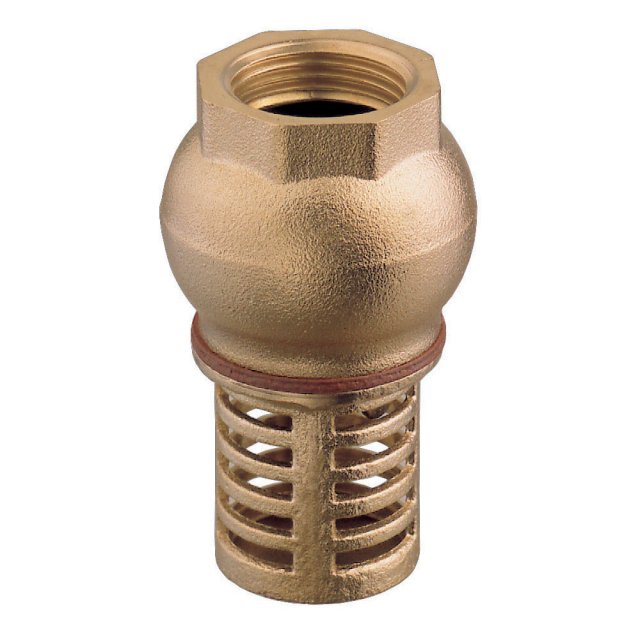 Guidi Guidi Brass Rubber Disk Foot-Valve 3/4 in