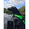 Baltic Baltic Dog & Pet Buoyancy Aid - Mascot