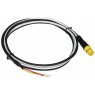 Raymarine Raymarine 2m STNG bare wires for 0183