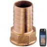 Guidi Guidi Bronze Hose Connector F 1 in 1/2 x 38 mm