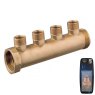 Guidi Guidi Brass Manifold F-M 3/4 in x 1/2 in , 4 Ways