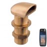 Guidi Guidi Polished Brass Shell Scupper Vent in Space in Series - 3/4 in