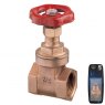 Guidi Guidi Bronze Gate Valve 1/4 in