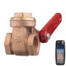 Guidi Guidi Bronze Quick-Closing Gate Valve 3/8 in