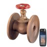 Guidi Guidi Bronze in Globe in Valve with Undrilled Or Drilled PN6/16 Flanges PN16 DN15