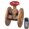 Guidi Guidi Bronze Gate Valve with PN06 Drilled Flange - DN15