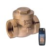 Guidi Guidi Brass Swing Check Valve 1 in 1/4