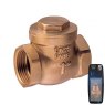 Guidi Guidi Bronze Swing Check Valve 1/2 in