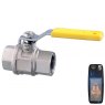 Guidi Guidi Nickel Plated Brass Lever Operated Ball Valve F-F in 2000 Series in - 1/4 in