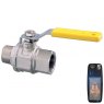 Guidi Guidi Nickel Plated Brass Lever Operated Ball Valve M-F in 2000 Series in - 1/4 in