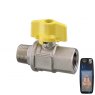 Guidi Guidi Nickel Plated Brass Throttle Operated Ball Valve M-F in 2000 Series in - 1/4 in