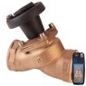 Guidi Guidi Bronze Non Stick Valve F-F w/Indicator 4 in