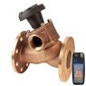 Guidi Guidi Bronze 2 Intake Non Stick Valve PN06 w/Indicator DN100 X 2 in 1/2